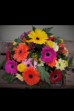 Feeling Vibrant occasions Flowers